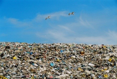 Pääsküla prügila (Marit Leevik)